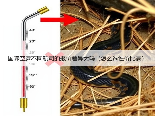 国际空运不同航司的报价差异大吗（怎么选性价比高）(图1)