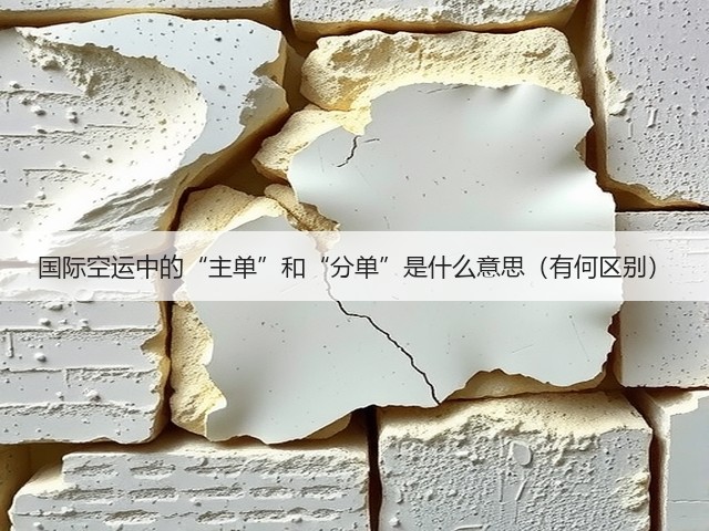 国际空运中的“主单”和“分单”是什么意思(有何区别)(图2) 国际空运中的“主单”和“分单”是什么意思(有何区别)(图2)