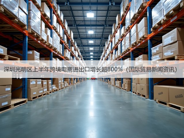 深圳光明区上半年跨境电商进出口增长超800%(国际贸易新闻资讯)(图3) 深圳光明区上半年跨境电商进出口增长超800%(国际贸易新闻资讯)(图3)