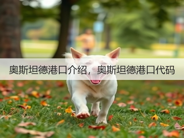 奥斯坦德港口介绍,奥斯坦德港口代码(图1) 奥斯坦德港口介绍,奥斯坦德港口代码(图1)