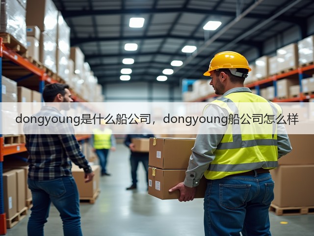 dongyoung是什么船公司,dongyoung船公司怎么样(图1) dongyoung是什么船公司,dongyoung船公司怎么样(图1)