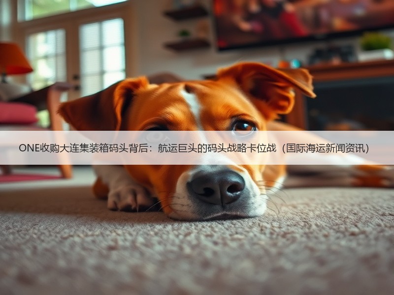 ONE收购大连集装箱码头背后：航运巨头的码头战略卡位战（国际海运新闻资讯）