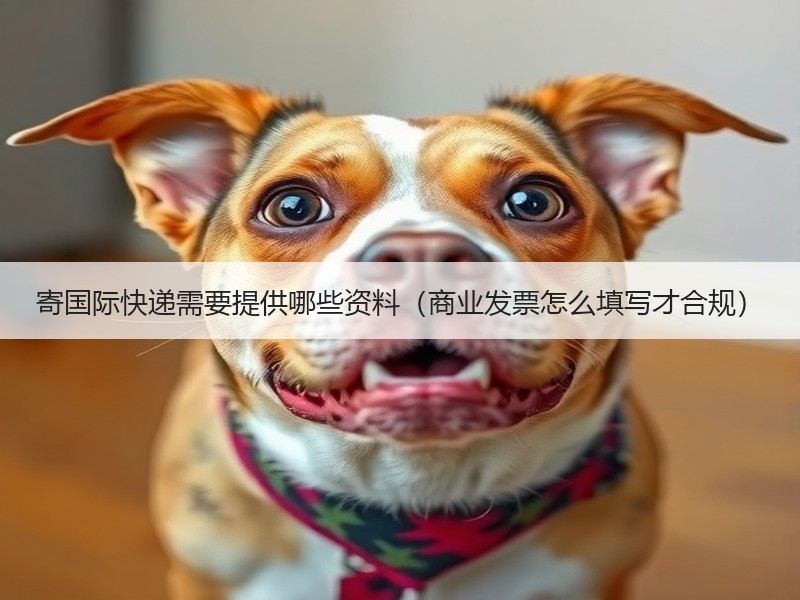 寄国际快递需要提供哪些资料（商业发票怎么填写才合规）