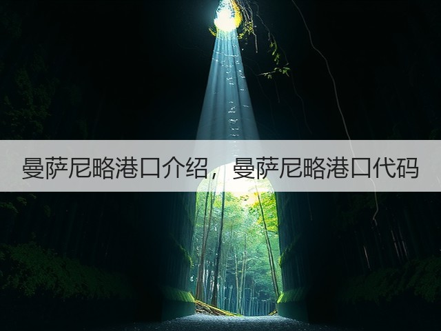 曼萨尼略港口介绍，曼萨尼略港口代码(图1)