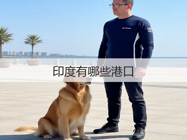 印度有哪些港口(图3) 印度有哪些港口(图3)