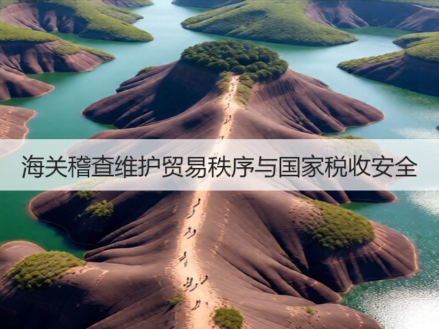 海关稽查维护贸易秩序与国家税收安全(图1) 海关稽查维护贸易秩序与国家税收安全(图1)