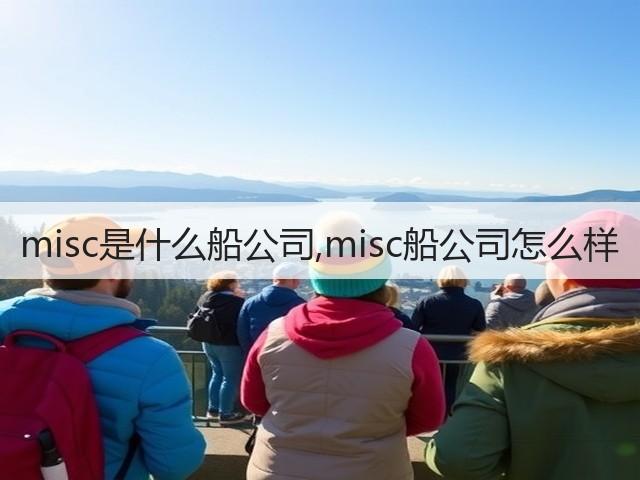 misc是什么船公司,misc船公司怎么样(图3)