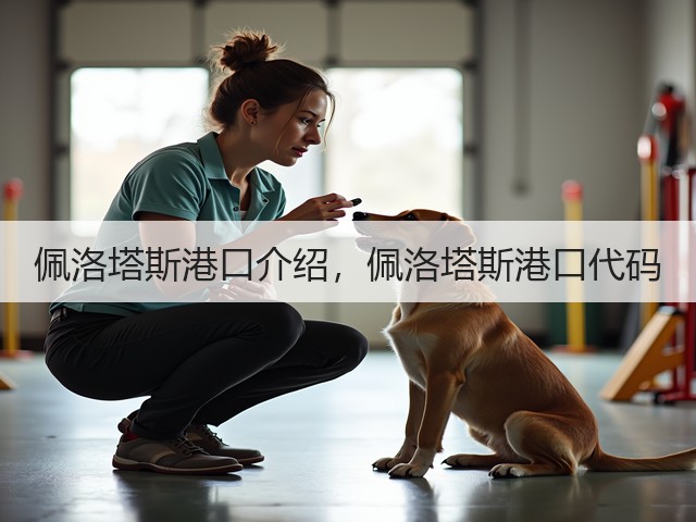佩洛塔斯港口介绍,佩洛塔斯港口代码(图2) 佩洛塔斯港口介绍,佩洛塔斯港口代码(图2)