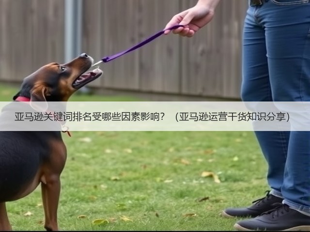 亚马逊关键词排名受哪些因素影响？（亚马逊运营干货知识分享）(图3)