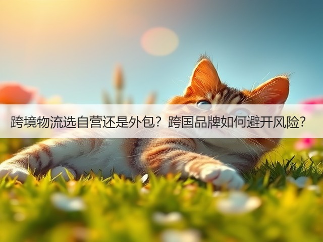 跨境物流选自营还是外包？跨国品牌如何避开风险？(图3)