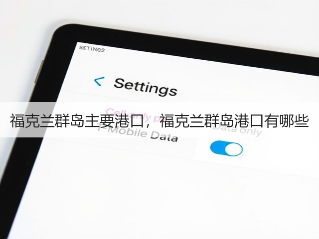 福克兰群岛主要港口，福克兰群岛港口有哪些(图2)