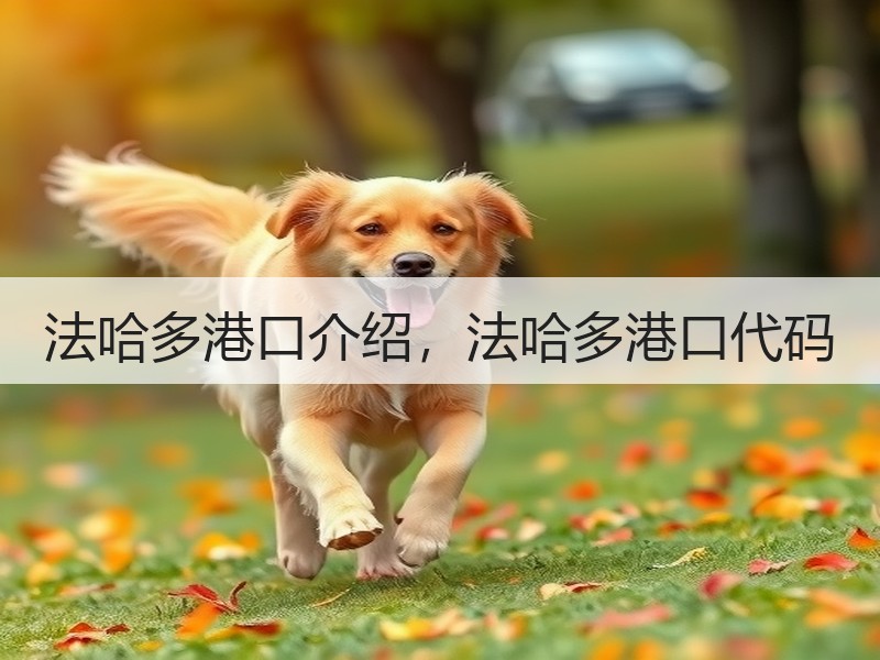 法哈多港口介绍，法哈多港口代码