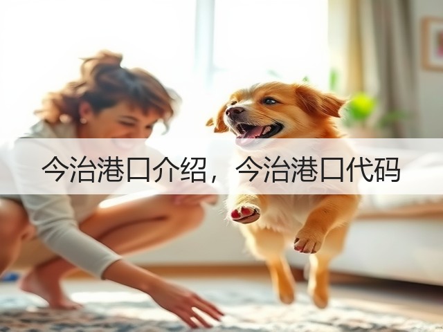 今治港口介绍，今治港口代码(图3)