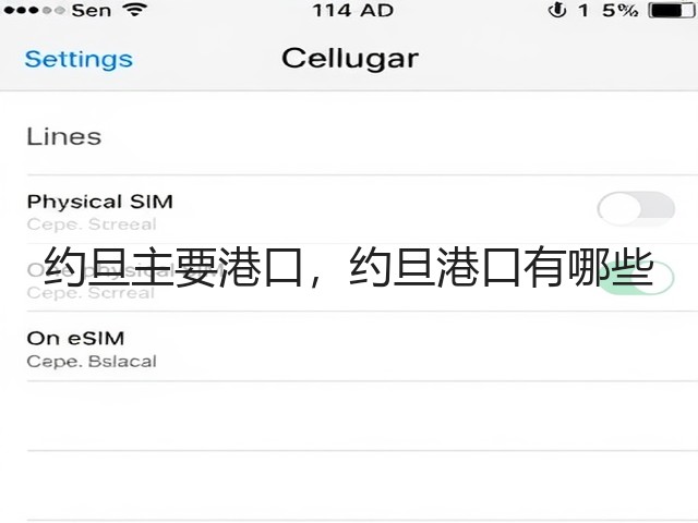 约旦主要港口，约旦港口有哪些(图1)