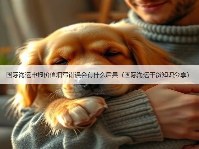 国际海运申报价值填写错误会有什么后果(国际海运干货知识分享)(图1) 国际海运申报价值填写错误会有什么后果(国际海运干货知识分享)(图1)