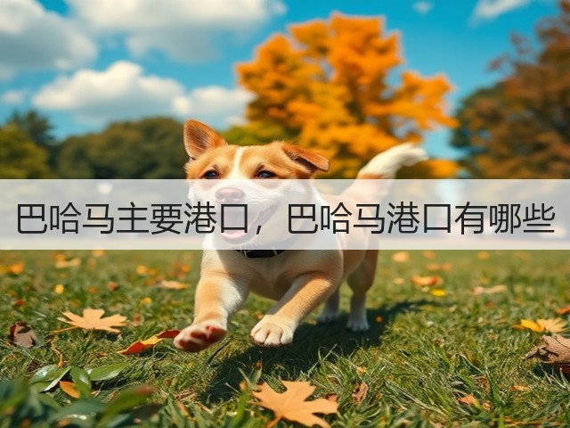 巴哈马主要港口,巴哈马港口有哪些(图1) 巴哈马主要港口,巴哈马港口有哪些(图1)
