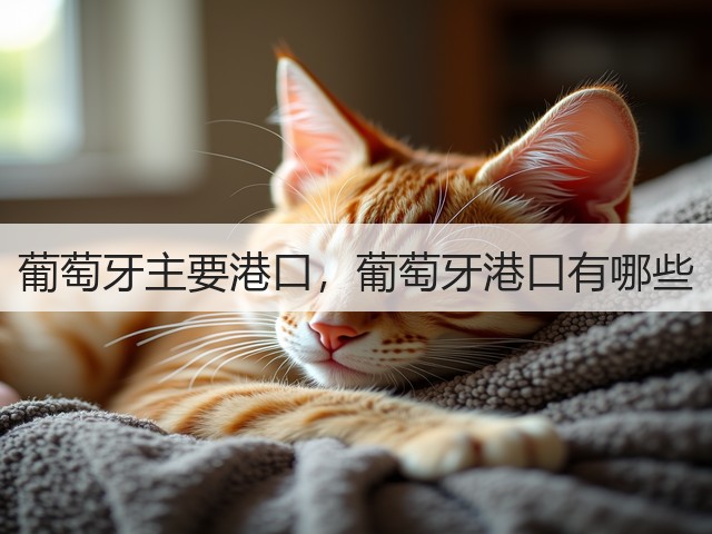 葡萄牙主要港口，葡萄牙港口有哪些(图3)