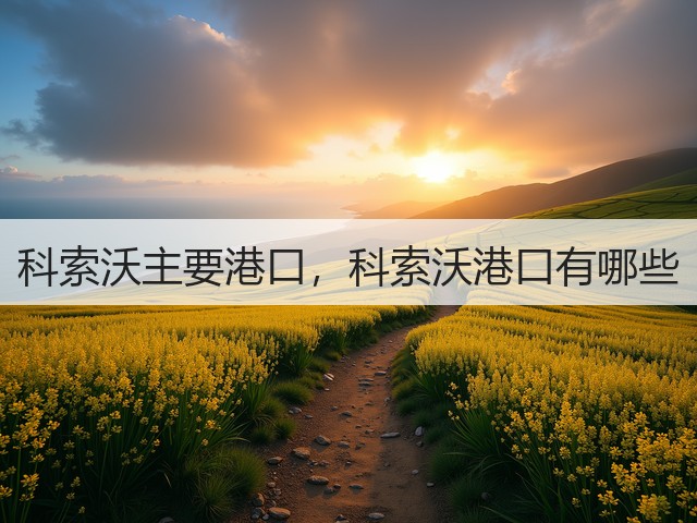 科索沃主要港口,科索沃港口有哪些(图2) 科索沃主要港口,科索沃港口有哪些(图2)
