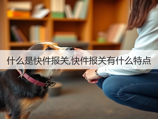 什么是快件报关,快件报关有什么特点(图1)
