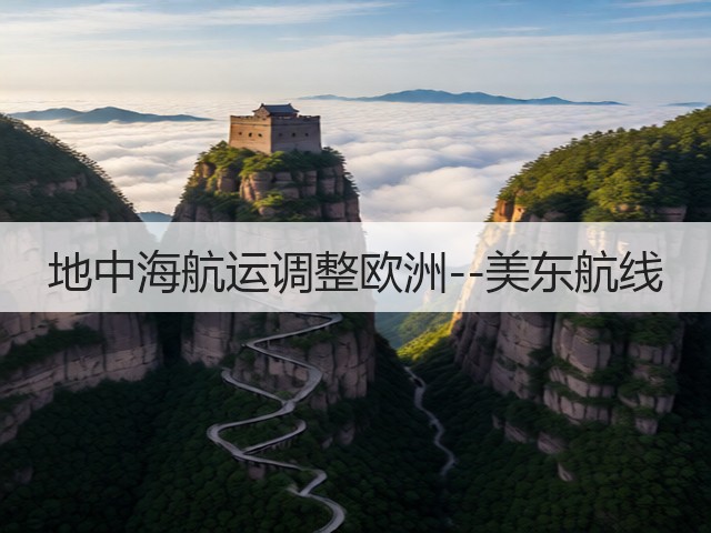 地中海航运调整欧洲--美东航线(图3)