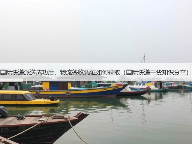 国际快递派送成功后，物流签收凭证如何获取（国际快递干货知识分享）(图2)