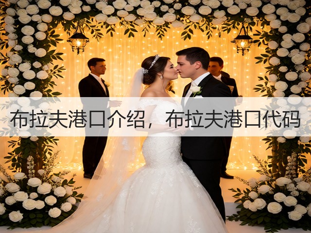 布拉夫港口介绍,布拉夫港口代码(图1) 布拉夫港口介绍,布拉夫港口代码(图1)