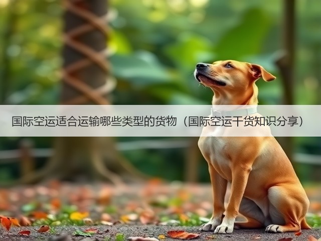 国际空运适合运输哪些类型的货物(国际空运干货知识分享)(图3) 国际空运适合运输哪些类型的货物(国际空运干货知识分享)(图3)