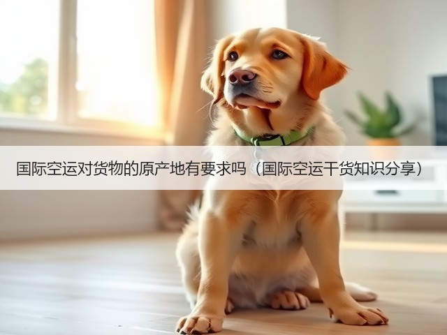 国际空运对货物的原产地有要求吗(国际空运干货知识分享)(图2) 国际空运对货物的原产地有要求吗(国际空运干货知识分享)(图2)
