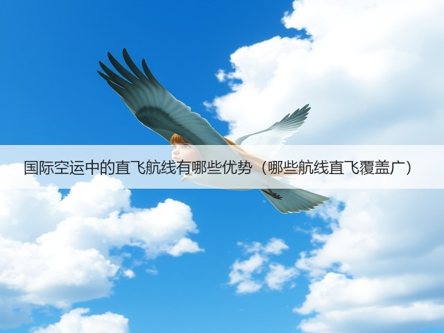 国际空运中的直飞航线有哪些优势（哪些航线直飞覆盖广）(图1)