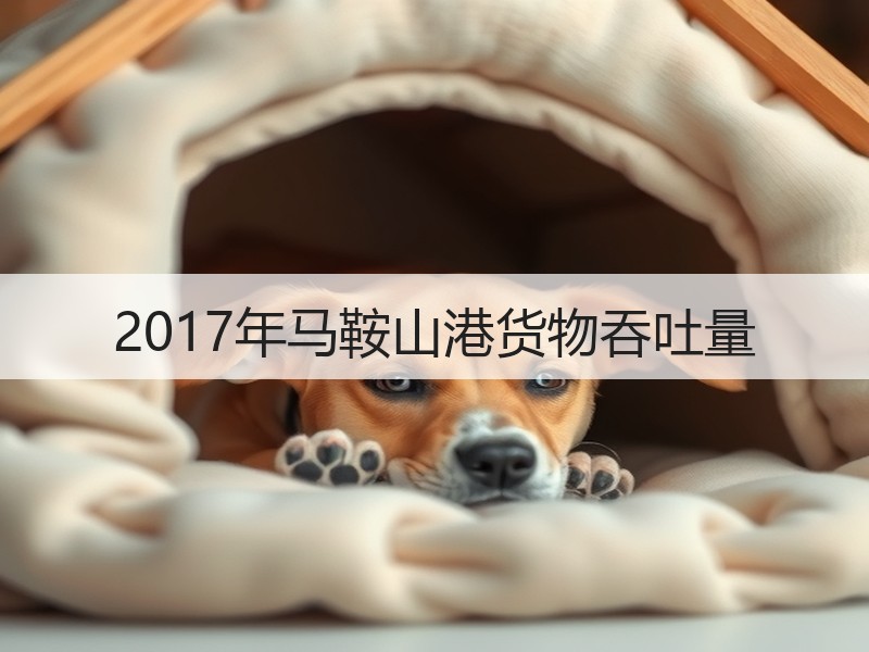 2017年马鞍山港货物吞吐量