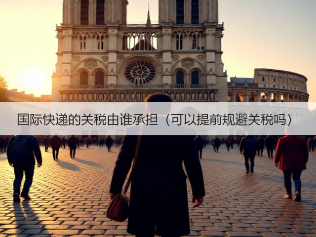 国际快递的关税由谁承担(可以提前规避关税吗)(图2) 国际快递的关税由谁承担(可以提前规避关税吗)(图2)