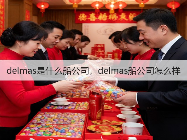 delmas是什么船公司，delmas船公司怎么样(图3)