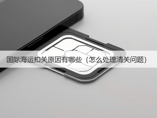 国际海运扣关原因有哪些（怎么处理清关问题）(图1)