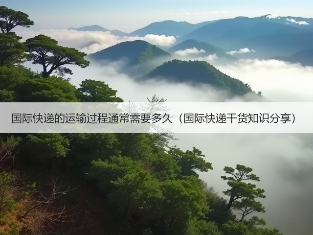 国际快递的运输过程通常需要多久（国际快递干货知识分享）(图2)