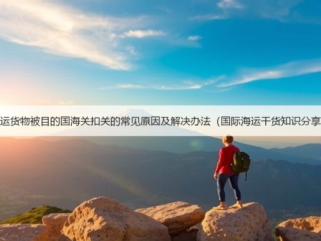 海运货物被目的国海关扣关的常见原因及解决办法(国际海运干货知识分享)(图1) 海运货物被目的国海关扣关的常见原因及解决办法(国际海运干货知识分享)(图1)