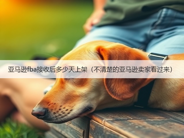 亚马逊fba接收后多少天上架（不清楚的亚马逊卖家看过来）(图3)