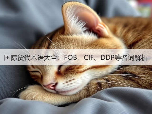 国际货代术语大全:FOB、CIF、DDP等名词解析(图3) 国际货代术语大全:FOB、CIF、DDP等名词解析(图3)
