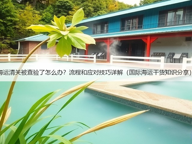 海运清关被查验了怎么办?流程和应对技巧详解(国际海运干货知识分享)(图1) 海运清关被查验了怎么办?流程和应对技巧详解(国际海运干货知识分享)(图1)