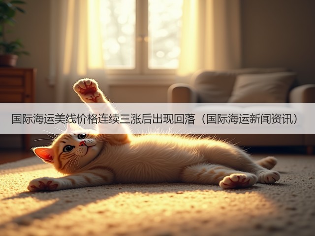 国际海运美线价格连续三涨后出现回落（国际海运新闻资讯）(图1)