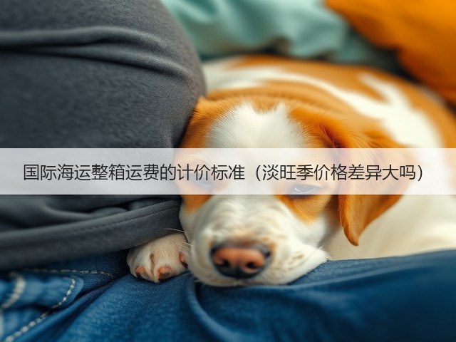 国际海运整箱运费的计价标准（淡旺季价格差异大吗）(图1)