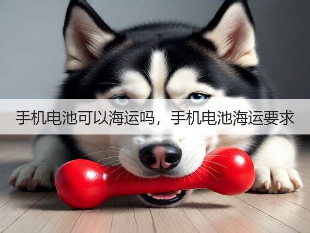 手机电池可以海运吗,手机电池海运要求(图2) 手机电池可以海运吗,手机电池海运要求(图2)