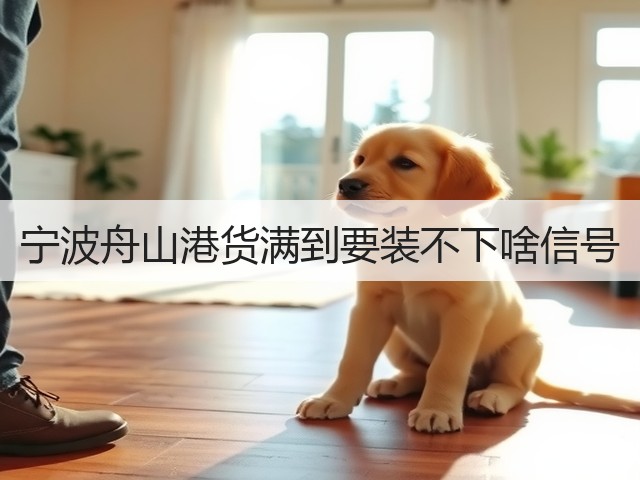宁波舟山港货满到要装不下啥信号(图3)