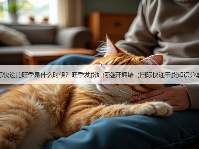国际快递的旺季是什么时候？旺季发货如何避开拥堵（国际快递干货知识分享）(图2)