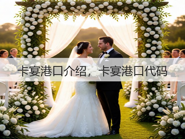 卡宴港口介绍，卡宴港口代码(图3)