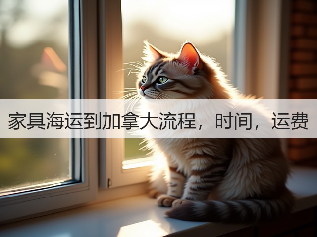 家具海运到加拿大流程,时间,运费(图2) 家具海运到加拿大流程,时间,运费(图2)