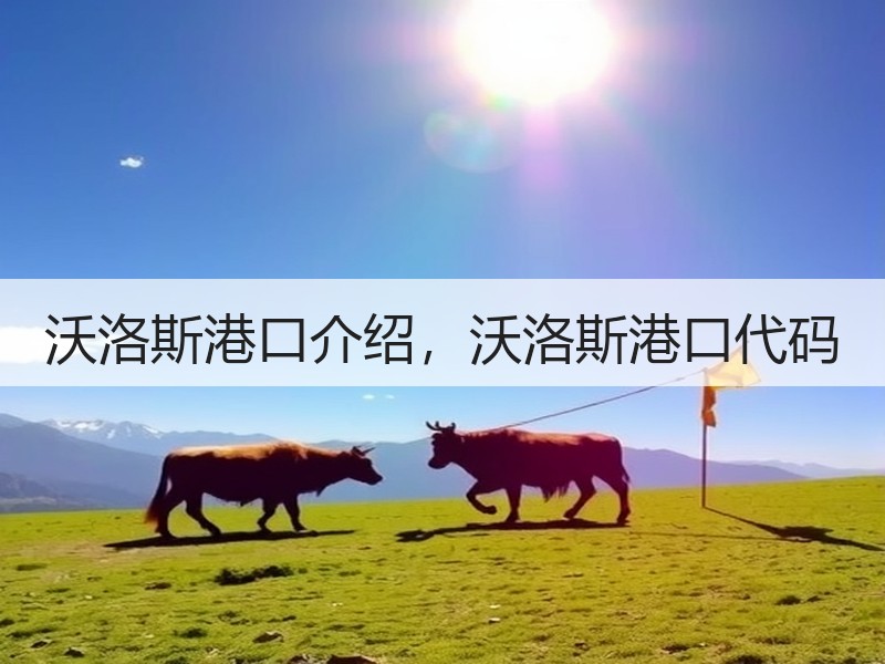 沃洛斯港口介绍，沃洛斯港口代码