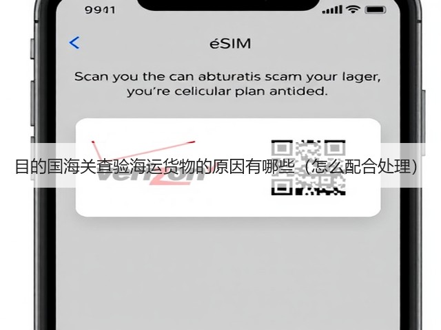 目的国海关查验海运货物的原因有哪些(怎么配合处理)(图2) 目的国海关查验海运货物的原因有哪些(怎么配合处理)(图2)