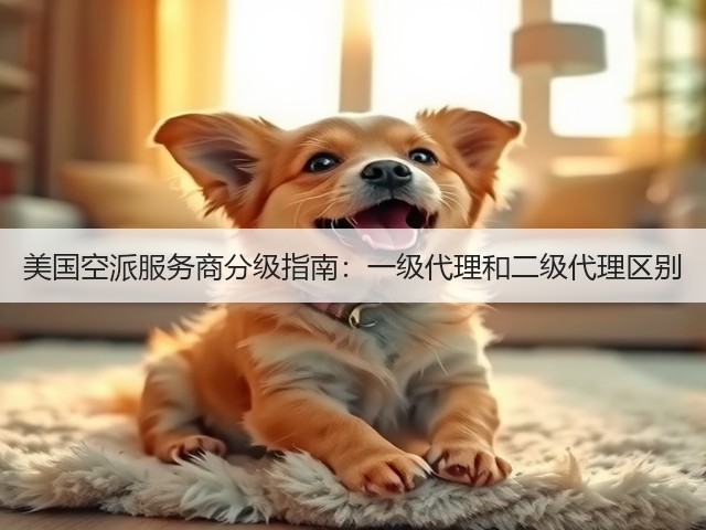 美国空派服务商分级指南:一级代理和二级代理区别(图3) 美国空派服务商分级指南:一级代理和二级代理区别(图3)