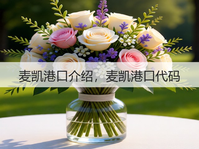 麦凯港口介绍，麦凯港口代码(图1)