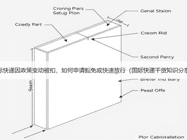 国际快递因政策变动被扣，如何申请豁免或快速放行（国际快递干货知识分享）(图1)